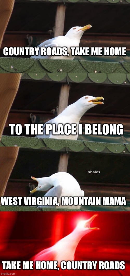 Country Roads | COUNTRY ROADS, TAKE ME HOME; TO THE PLACE I BELONG; WEST VIRGINIA, MOUNTAIN MAMA; TAKE ME HOME, COUNTRY ROADS | image tagged in inhaling seagull 4 red,country,roads,john denver,laccs | made w/ Imgflip meme maker