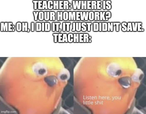 Listen here you little shit bird | TEACHER: WHERE IS YOUR HOMEWORK?
ME: OH, I DID IT, IT JUST DIDN'T SAVE.
TEACHER: | image tagged in listen here you little shit bird,funny,funny memes,lol,school,memes | made w/ Imgflip meme maker