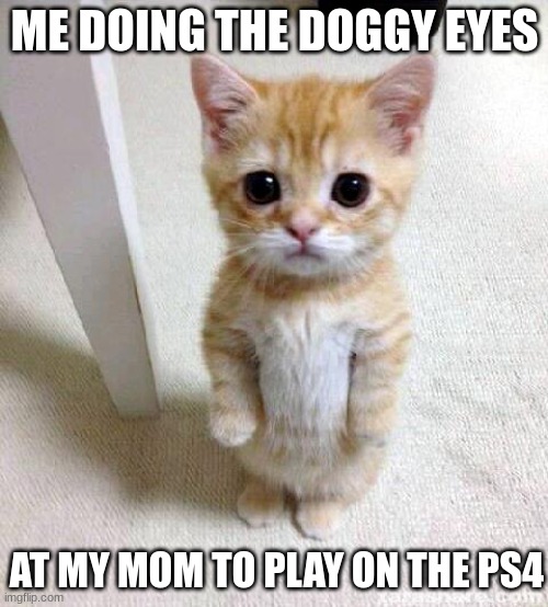 Cute Cat | ME DOING THE DOGGY EYES; AT MY MOM TO PLAY ON THE PS4 | image tagged in memes,cute cat | made w/ Imgflip meme maker