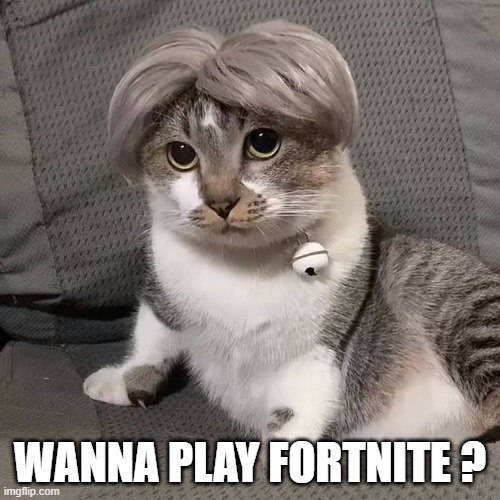 Duos | WANNA PLAY FORTNITE ? | image tagged in obedient cat | made w/ Imgflip meme maker