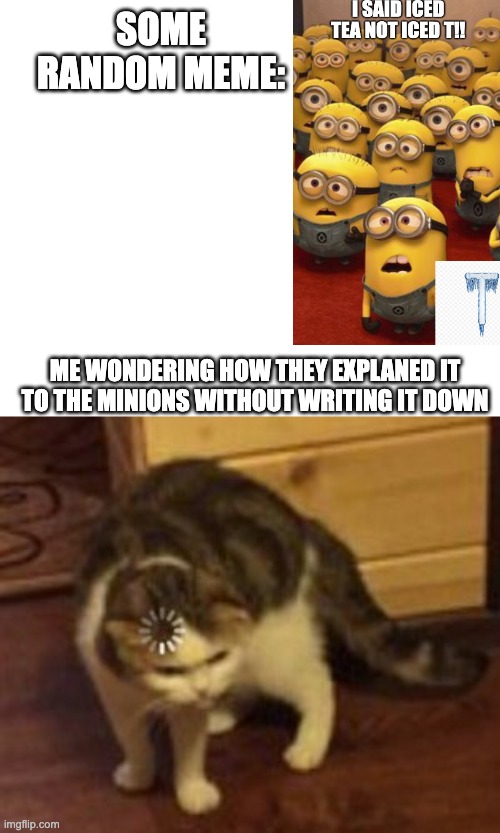 Some memes are horrible - Iceu. 2023 | SOME RANDOM MEME:; ME WONDERING HOW THEY EXPLANED IT TO THE MINIONS WITHOUT WRITING IT DOWN | image tagged in loading cat | made w/ Imgflip meme maker