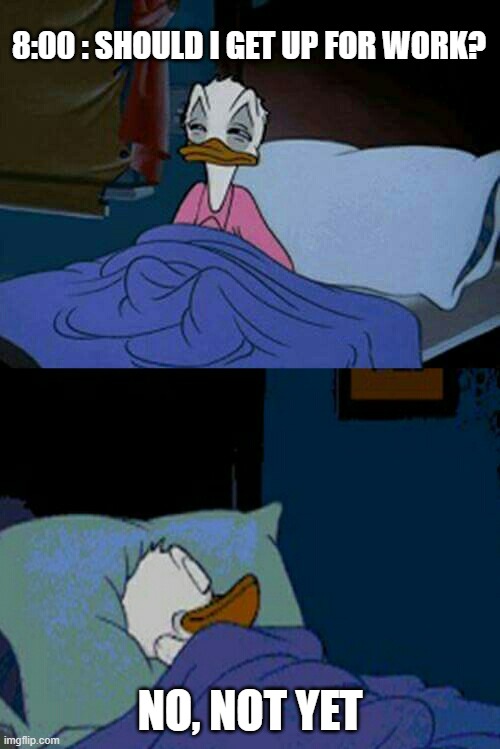 How To Explain Why You're Late For Work | 8:00 : SHOULD I GET UP FOR WORK? NO, NOT YET | image tagged in sleepy donald duck in bed | made w/ Imgflip meme maker