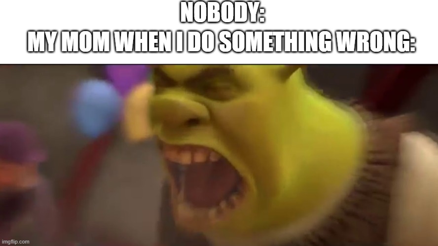 NOBODY:; MY MOM WHEN I DO SOMETHING WRONG: | image tagged in shrek screaming | made w/ Imgflip meme maker