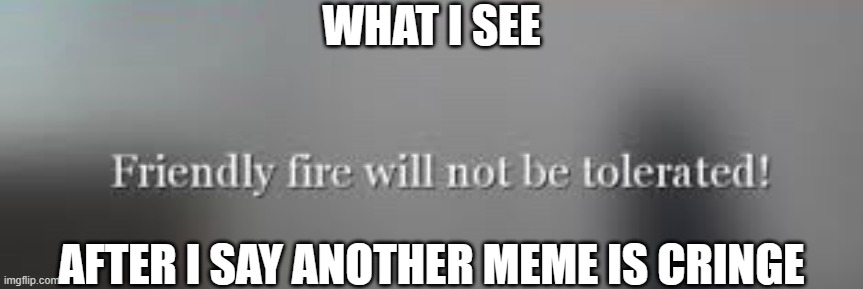 Kid named friendly fire: | WHAT I SEE; AFTER I SAY ANOTHER MEME IS CRINGE | image tagged in friendly fire will not be tolerated,e,memes | made w/ Imgflip meme maker