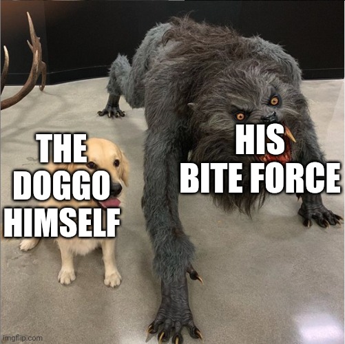 Dog Vs. Werewolf | THE DOGGO HIMSELF HIS BITE FORCE | image tagged in dog vs werewolf | made w/ Imgflip meme maker