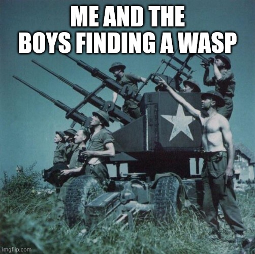 Anti Aircraft  | ME AND THE BOYS FINDING A WASP | image tagged in anti aircraft | made w/ Imgflip meme maker