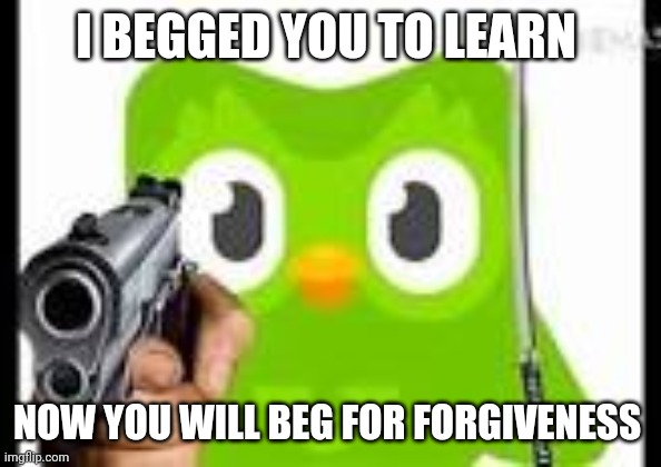 Doulingo holding a gun | I BEGGED YOU TO LEARN; NOW YOU WILL BEG FOR FORGIVENESS | image tagged in doulingo holding a gun | made w/ Imgflip meme maker
