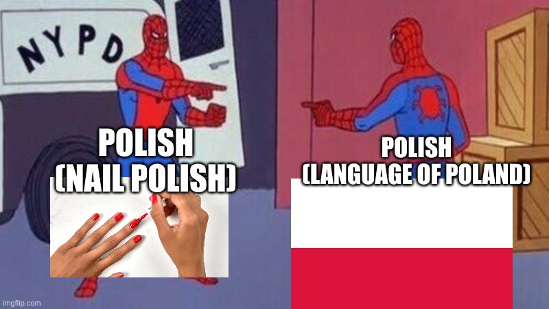 true | POLISH (NAIL POLISH); POLISH (LANGUAGE OF POLAND) | image tagged in spiderman pointing at spiderman | made w/ Imgflip meme maker