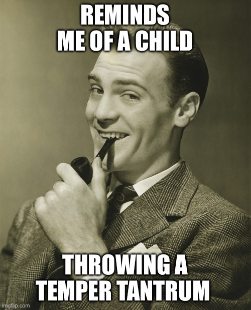 Smug | REMINDS ME OF A CHILD THROWING A TEMPER TANTRUM | image tagged in smug | made w/ Imgflip meme maker