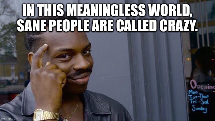 Roll Safe Think About It | IN THIS MEANINGLESS WORLD, SANE PEOPLE ARE CALLED CRAZY. | image tagged in memes,roll safe think about it | made w/ Imgflip meme maker