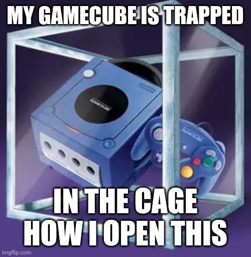Is Made Of Glass | MY GAMECUBE IS TRAPPED; IN THE CAGE HOW I OPEN THIS | image tagged in funny,memes,gamecube,nintendo | made w/ Imgflip meme maker