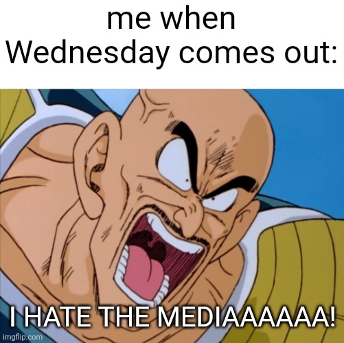 me when Wednesday comes out:; I HATE THE MEDIAAAAAA! | image tagged in wednesday,anti wednesday,media | made w/ Imgflip meme maker
