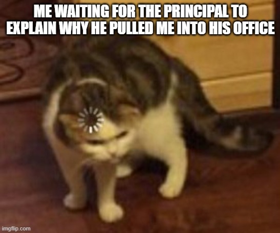 I hate my principal | ME WAITING FOR THE PRINCIPAL TO EXPLAIN WHY HE PULLED ME INTO HIS OFFICE | image tagged in loading cat | made w/ Imgflip meme maker