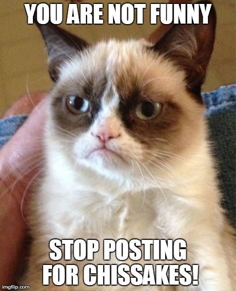 Grumpy Cat | YOU ARE NOT FUNNY STOP POSTING FOR CHISSAKES! | image tagged in memes,grumpy cat | made w/ Imgflip meme maker