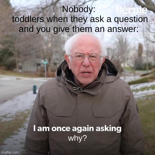 why? | Nobody:
 toddlers when they ask a question and you give them an answer:; why? | image tagged in memes,bernie i am once again asking for your support,why,toddler,funny,relatable | made w/ Imgflip meme maker