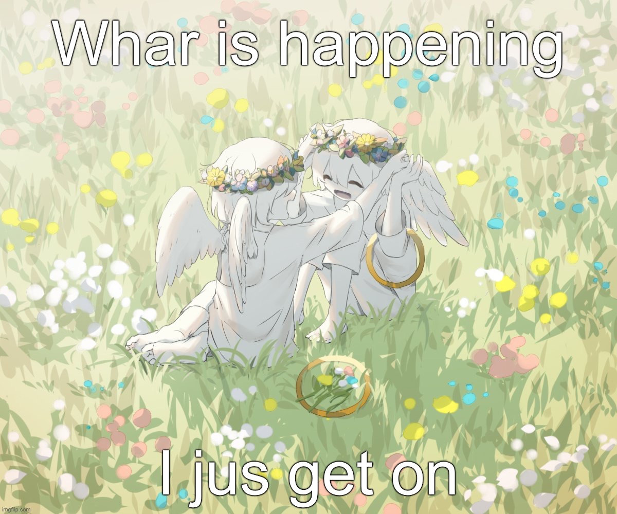 Avogado6 | Whar is happening; I jus get on | image tagged in avogado6 | made w/ Imgflip meme maker