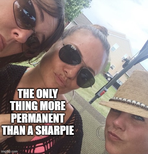 Herp Derp | THE ONLY THING MORE PERMANENT THAN A SHARPIE | image tagged in herpes lip | made w/ Imgflip meme maker