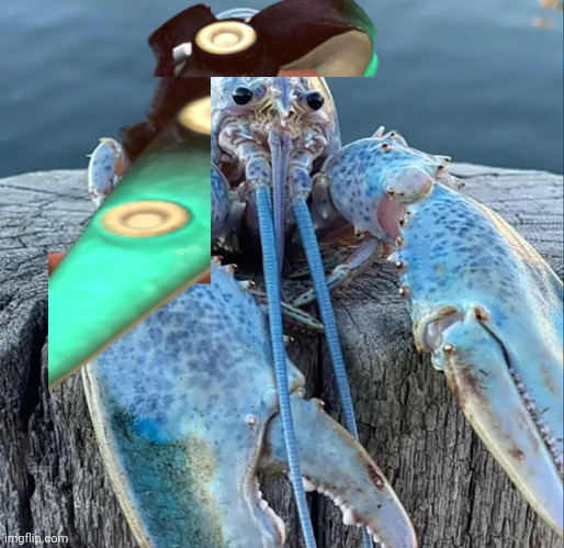 The Blue Lobster | image tagged in the blue lobster | made w/ Imgflip meme maker