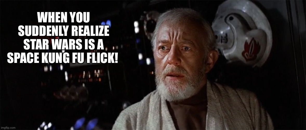 Obi Wan - Suddenly Silenced | WHEN YOU SUDDENLY REALIZE STAR WARS IS A SPACE KUNG FU FLICK! | image tagged in obi wan - suddenly silenced | made w/ Imgflip meme maker