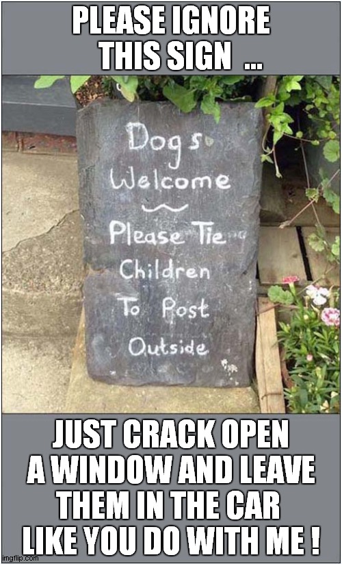 A Dogs Plea ! | PLEASE IGNORE
   THIS SIGN  ... JUST CRACK OPEN A WINDOW AND LEAVE THEM IN THE CAR 
LIKE YOU DO WITH ME ! | image tagged in dogs,sign,children,car | made w/ Imgflip meme maker