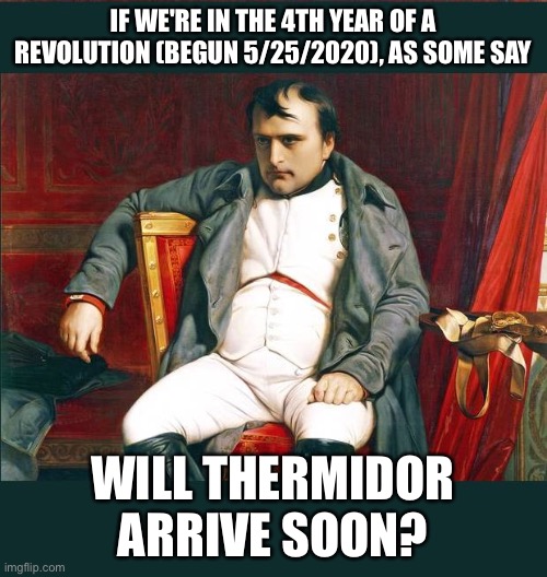 napoleon | IF WE'RE IN THE 4TH YEAR OF A REVOLUTION (BEGUN 5/25/2020), AS SOME SAY; WILL THERMIDOR ARRIVE SOON? | image tagged in napoleon | made w/ Imgflip meme maker