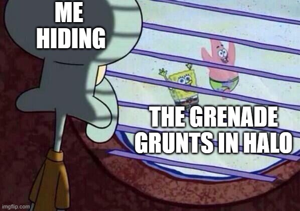 Squidward window | ME  HIDING; THE GRENADE GRUNTS IN HALO | image tagged in squidward window | made w/ Imgflip meme maker