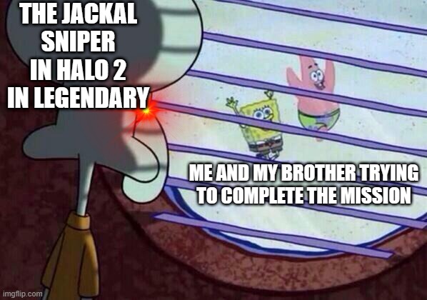halo 2 | THE JACKAL SNIPER IN HALO 2 IN LEGENDARY; ME AND MY BROTHER TRYING TO COMPLETE THE MISSION | image tagged in squidward window | made w/ Imgflip meme maker