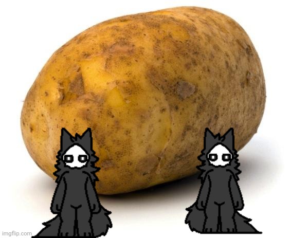 I am a potato | image tagged in i am a potato | made w/ Imgflip meme maker