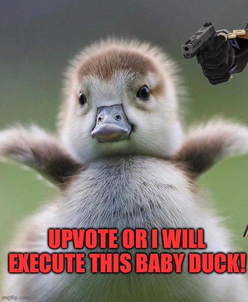 UPVOTE OR I WILL EXECUTE THIS BABY DUCK! | made w/ Imgflip meme maker