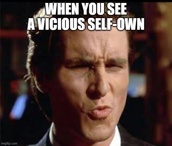 Christian Bale Ooh | WHEN YOU SEE A VICIOUS SELF-OWN | image tagged in christian bale ooh | made w/ Imgflip meme maker