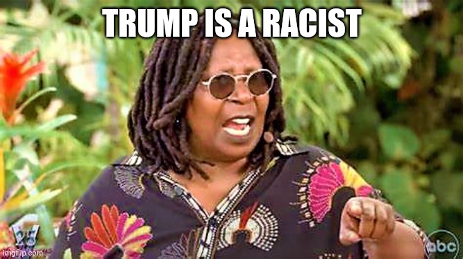 Whoopi Goldberg | TRUMP IS A RACIST | image tagged in whoopi goldberg | made w/ Imgflip meme maker