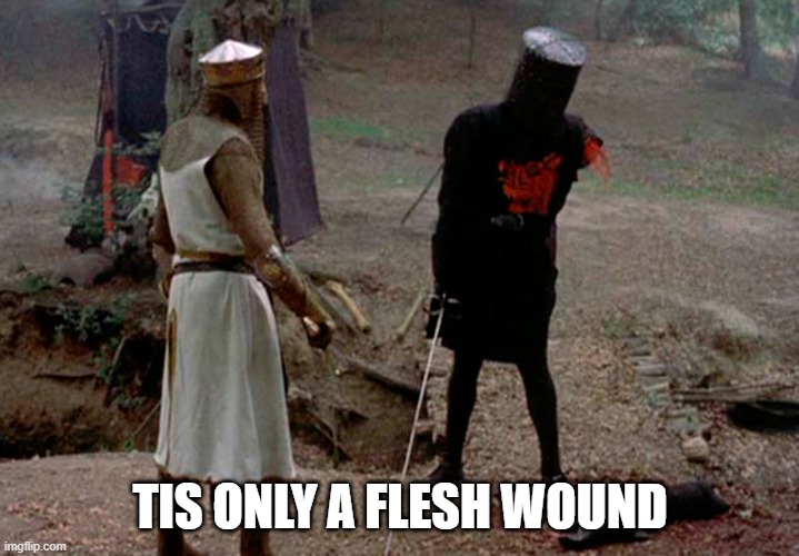 It's Only a Flesh Wound | TIS ONLY A FLESH WOUND | image tagged in it's only a flesh wound | made w/ Imgflip meme maker
