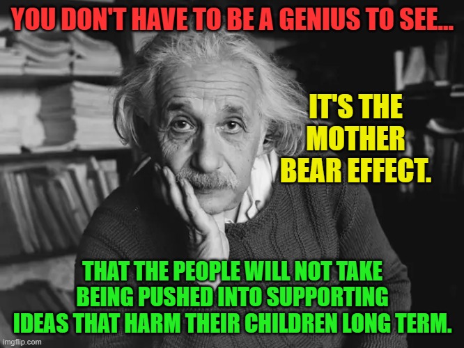 wise man | YOU DON'T HAVE TO BE A GENIUS TO SEE... IT'S THE MOTHER BEAR EFFECT. THAT THE PEOPLE WILL NOT TAKE BEING PUSHED INTO SUPPORTING IDEAS THAT HARM THEIR CHILDREN LONG TERM. | image tagged in wise man | made w/ Imgflip meme maker
