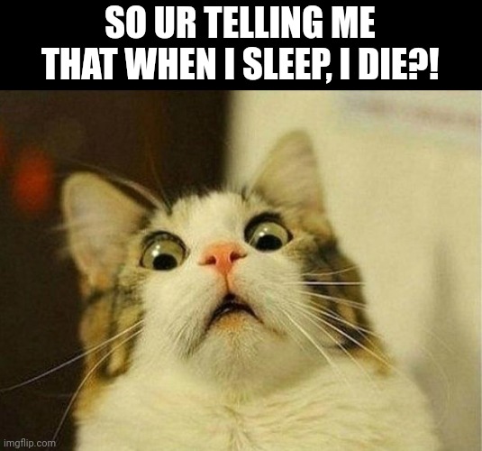 Scared Cat Meme | SO UR TELLING ME THAT WHEN I SLEEP, I DIE?! | image tagged in memes,scared cat | made w/ Imgflip meme maker