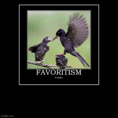 Favortism oh it sucks | image tagged in funny,demotivationals | made w/ Imgflip demotivational maker