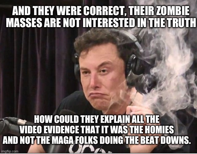 Elon Musk smoking a joint | HOW COULD THEY EXPLAIN ALL THE VIDEO EVIDENCE THAT IT WAS THE HOMIES AND NOT THE MAGA FOLKS DOING THE BEAT DOWNS. AND THEY WERE CORRECT, THE | image tagged in elon musk smoking a joint | made w/ Imgflip meme maker