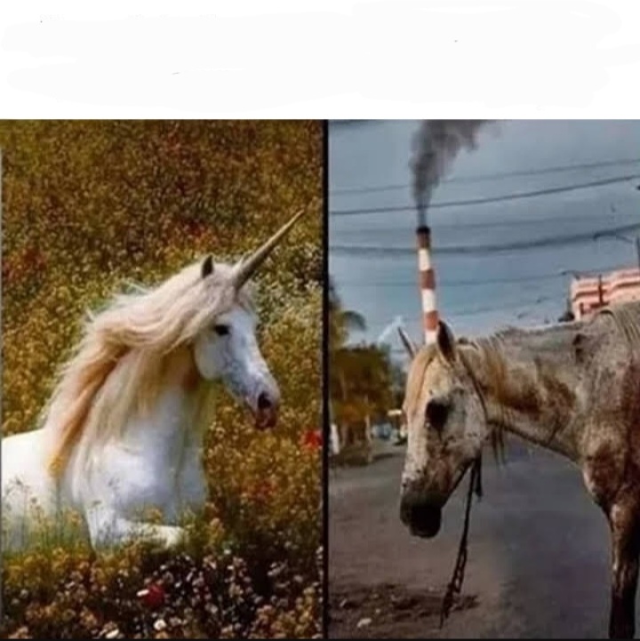 High Quality Unicorn vs dirty horse Blank Meme Template