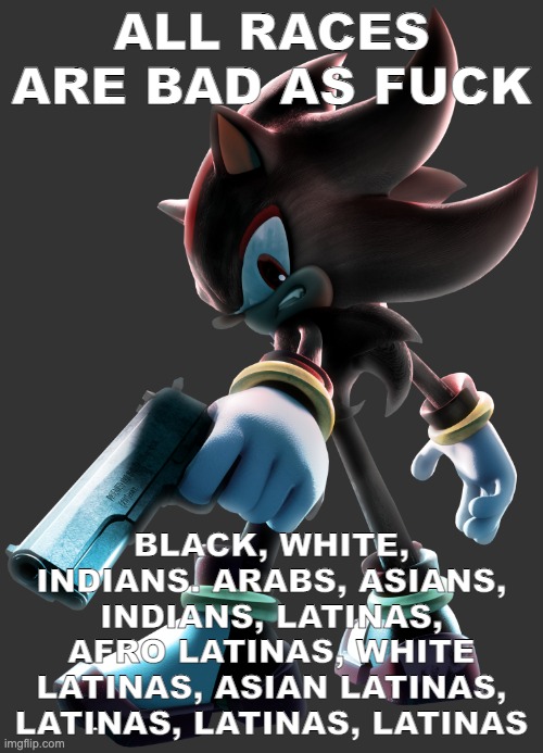Shadow the Hedgehog | ALL RACES ARE BAD AS FUCK; BLACK, WHITE, INDIANS. ARABS, ASIANS, INDIANS, LATINAS, AFRO LATINAS, WHITE LATINAS, ASIAN LATINAS, LATINAS, LATINAS, LATINAS | image tagged in shadow the hedgehog | made w/ Imgflip meme maker