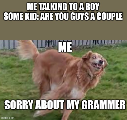 ahhhh | ME TALKING TO A BOY
SOME KID: ARE YOU GUYS A COUPLE; ME; SORRY ABOUT MY GRAMMER | image tagged in what dog | made w/ Imgflip meme maker