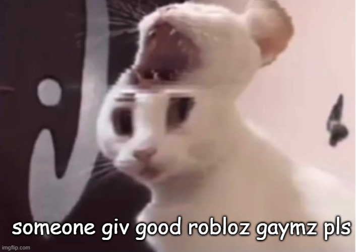 Shocked cat | someone giv good robloz gaymz pls | image tagged in shocked cat | made w/ Imgflip meme maker