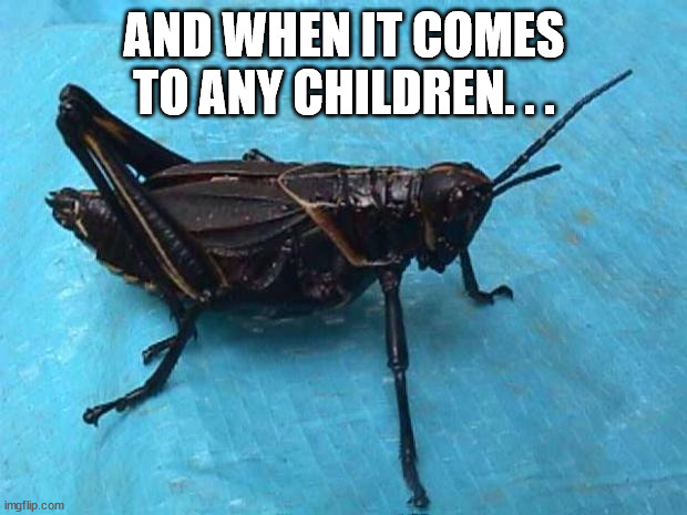 Cricket  | AND WHEN IT COMES TO ANY CHILDREN. . . | image tagged in cricket | made w/ Imgflip meme maker