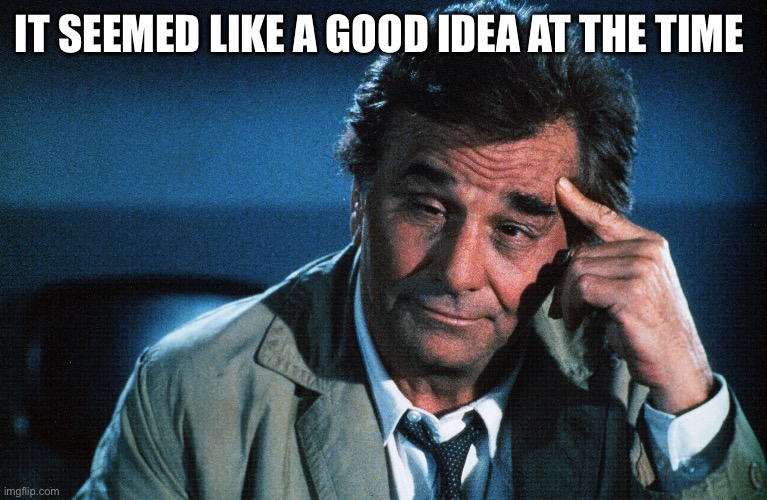 peter falk slipped mind | IT SEEMED LIKE A GOOD IDEA AT THE TIME | image tagged in peter falk slipped mind | made w/ Imgflip meme maker