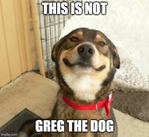 he isn't lol | THIS IS NOT; GREG THE DOG | image tagged in good dog greg | made w/ Imgflip meme maker