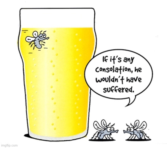 Fly in my beer | image tagged in fly in beer,consolation is,no suffering,comics | made w/ Imgflip meme maker