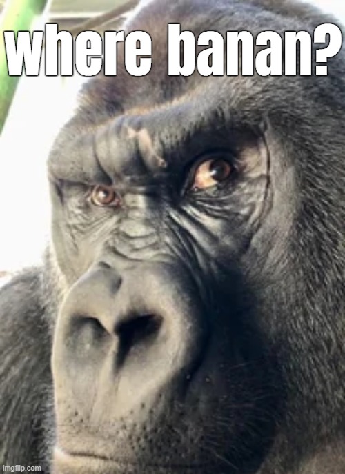 ?where | where banan? | made w/ Imgflip meme maker