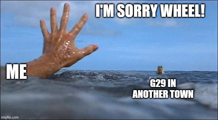 I'm sorry Wilson! | I'M SORRY WHEEL! ME; G29 IN ANOTHER TOWN | image tagged in castaway | made w/ Imgflip meme maker