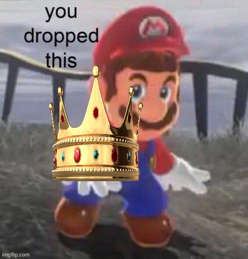 to all the people who are against zoophiles | image tagged in mario you dropped this | made w/ Imgflip meme maker