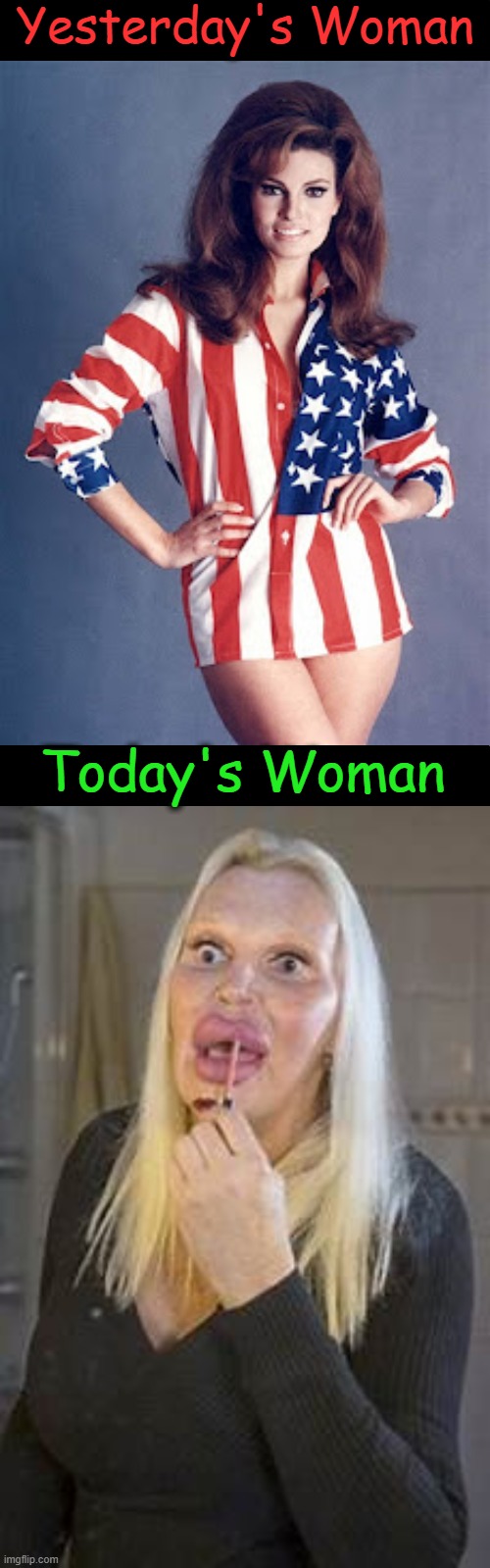 'Progressive'? | Yesterday's Woman; Today's Woman | image tagged in politics,political humor,what is a woman,yesterday,today,progressive | made w/ Imgflip meme maker