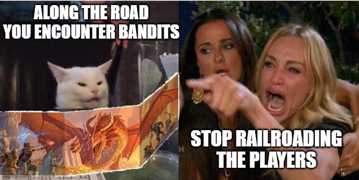 Stop Railroading Players | ALONG THE ROAD YOU ENCOUNTER BANDITS; STOP RAILROADING THE PLAYERS | image tagged in dm cat yelling woman | made w/ Imgflip meme maker