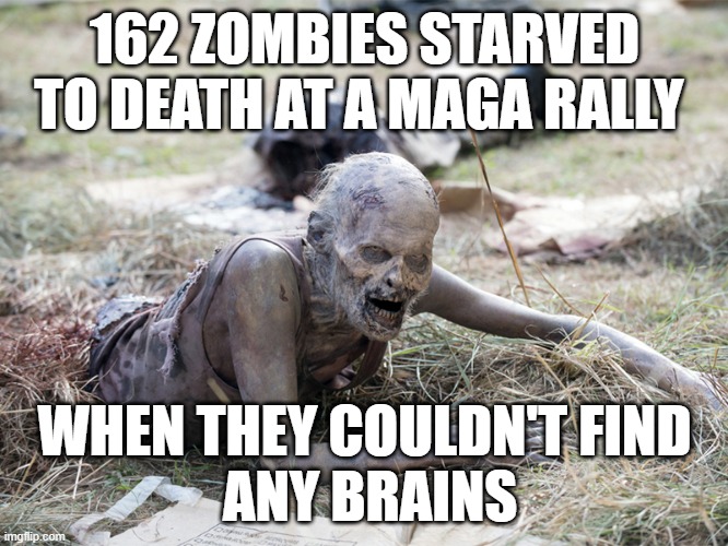 Zombies brains | 162 ZOMBIES STARVED TO DEATH AT A MAGA RALLY; WHEN THEY COULDN'T FIND
 ANY BRAINS | image tagged in zombie starve,maga | made w/ Imgflip meme maker